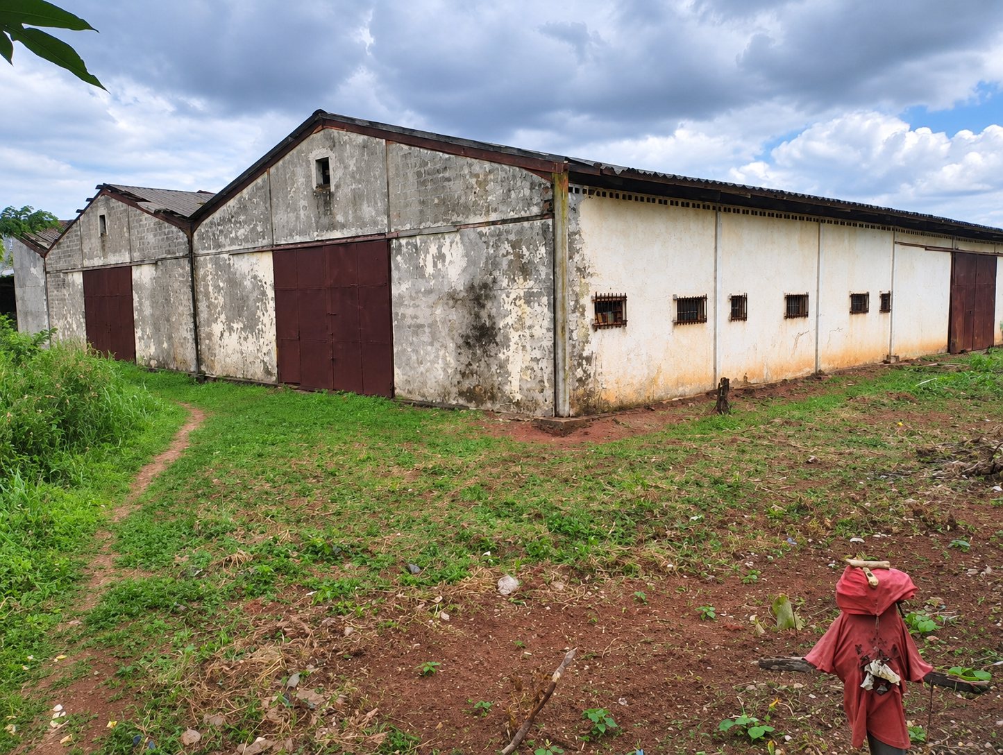 Gabled warehouse bays with sliding steel doors at Ota Industrial Estate